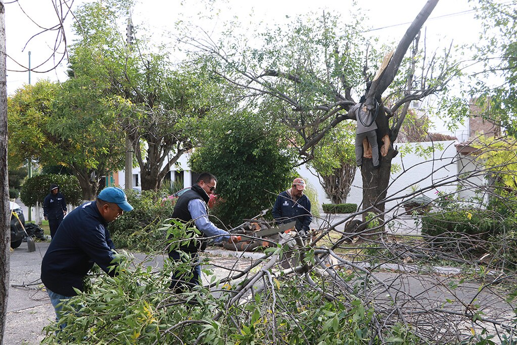 Operativo “Fuertes vientos 2020” atiende más de 170 reportes en SLP