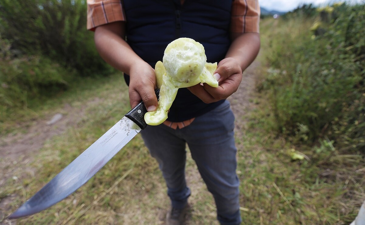 Foto: Archivo. EL UNIVERSAL