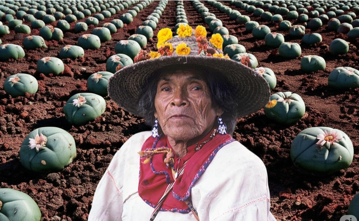 Foto: Chalio Juan Negrín - Centro de Investigación Wixárika - Gemini IA.