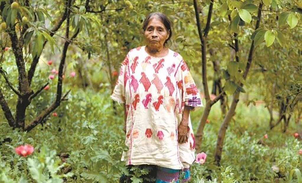 Auge de fentanilo deja migración y miseria en Guerrero