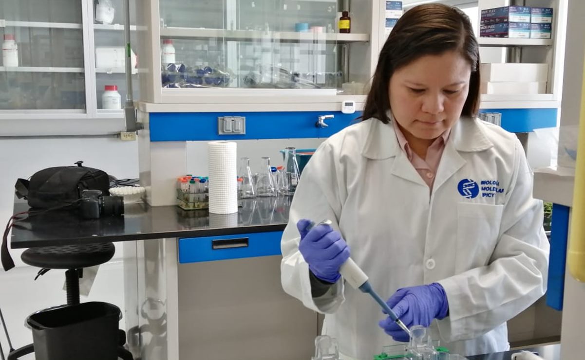 Científicos de SLP producen anticuerpos animales, funcionales para diagnósticos médicos