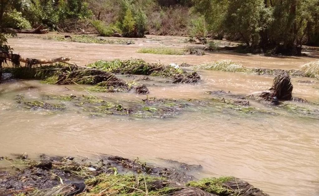 Continuará monitoreo en zonas inundables: Protección Civil