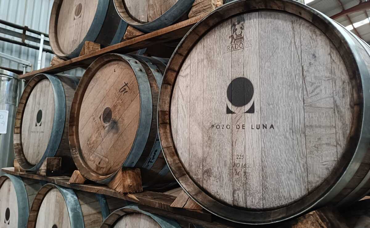 Pozo de Luna, el vino soledense que catapulta a SLP en el reconocimiento internacional