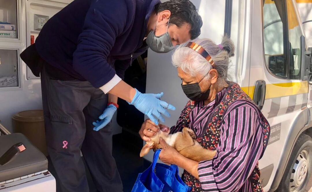 La unidad de cuidado animal se mantendrá en cabecera municipal en un horario de 09:00 horas a 14:00 horas. Foto: Especial