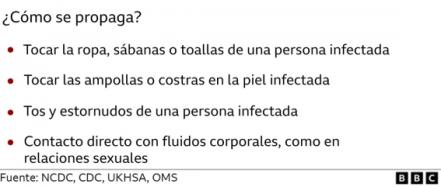 Viruela del mono: Cinco claves para comprender la infección