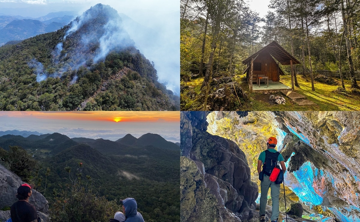 Así es La Trinidad, el bosque de niebla oculto entre montañas en San Luis Potosí