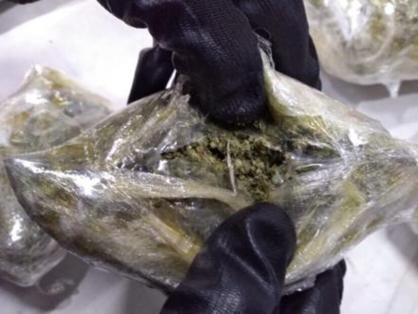 Aseguran once kilos de marihuana en aeropuerto de SLP