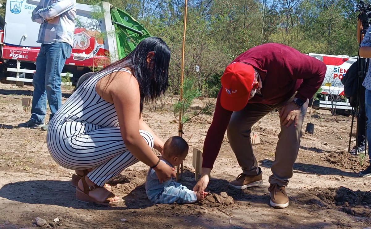 “Bosque de la vida”, un árbol en San Luis Potosí por cada bebé que nace