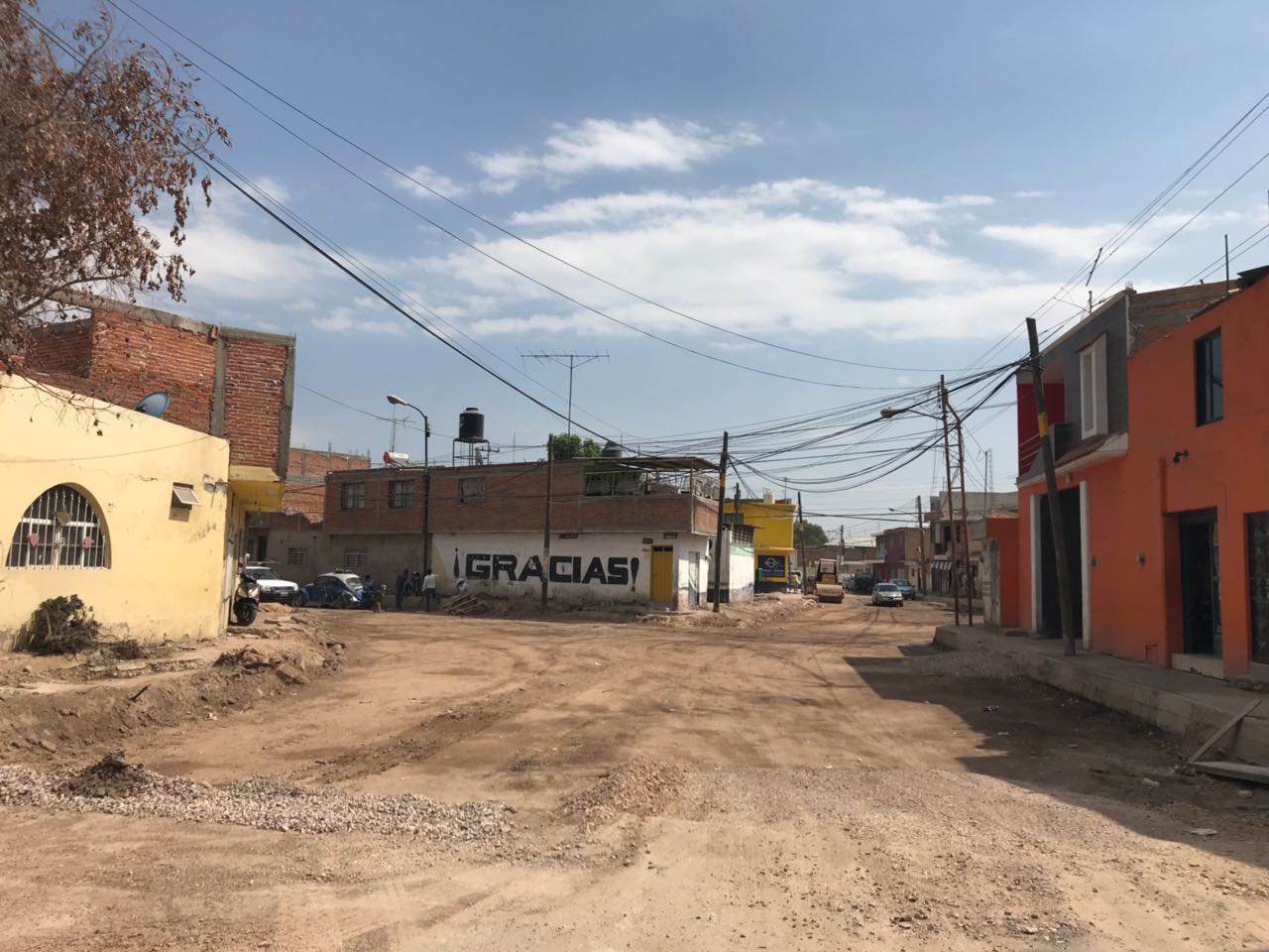 Tortuguismo en obras de Ponciano Arriaga