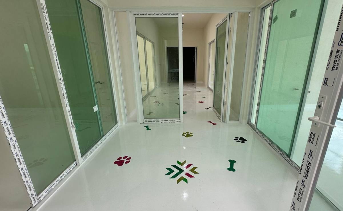 FOTOS: Así va el nuevo hospital y refugio para perritos y gatos de San Luis Potosí