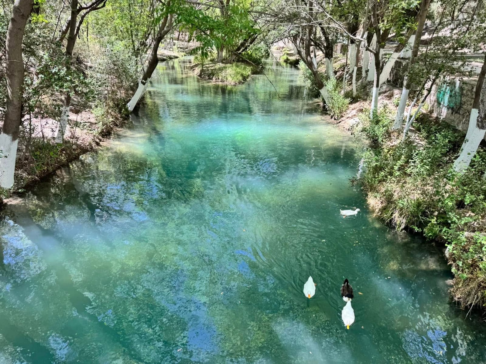 Ojo de Agua es ideal para el contacto con la naturaleza