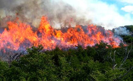 Aún están activos tres incendios forestales, informa PC