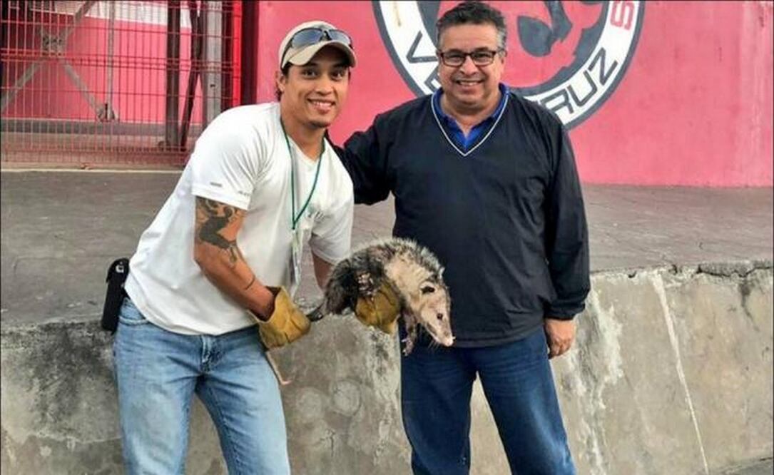 El animal se robó los reflectores en el partido entre Veracruz y Puebla