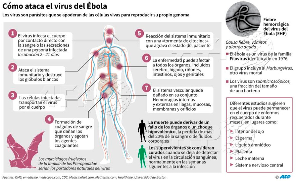 Retrato de un asesino, el virus del ébola