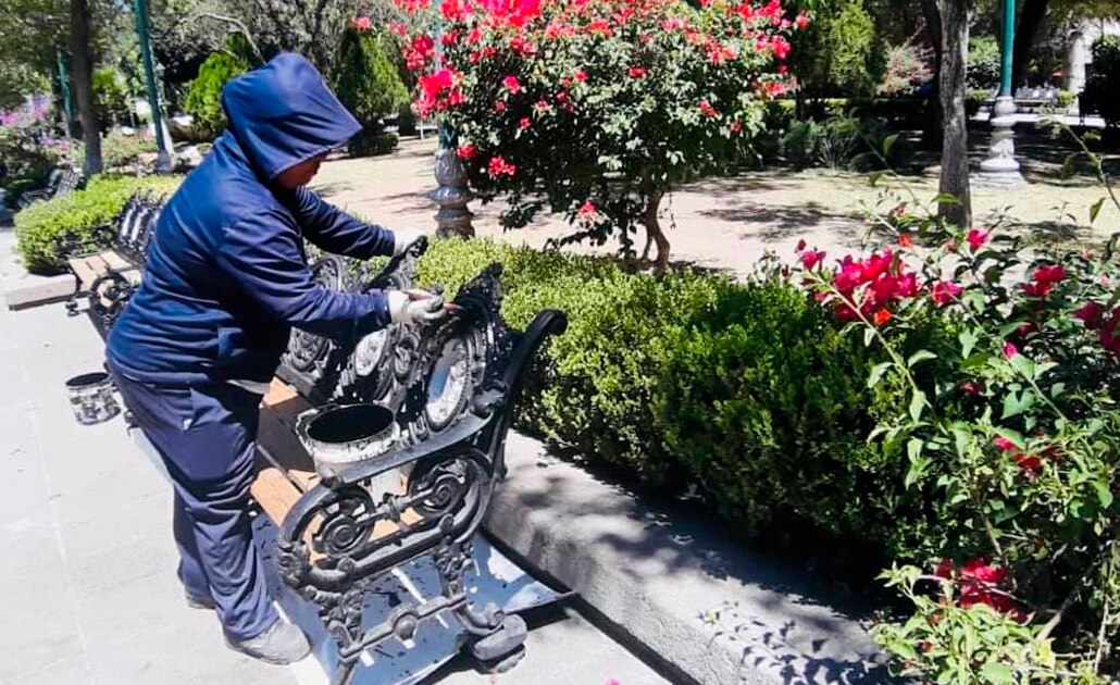 Realiza Servicios Municipales trabajos de mantenimiento en la capital