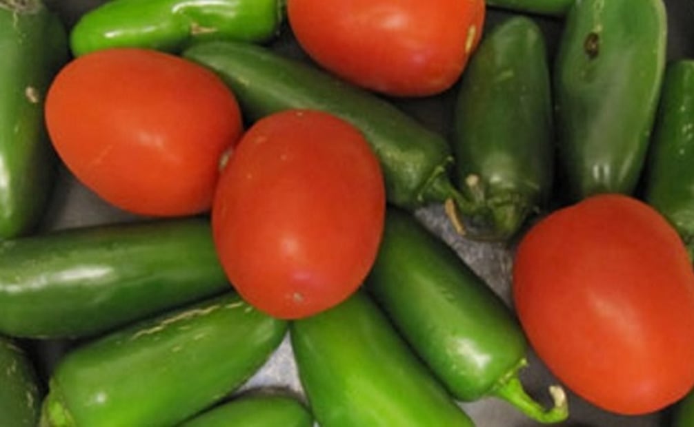 Ingredientes para preparar enchiladas huastecas. Foto: vertienteglobal.com