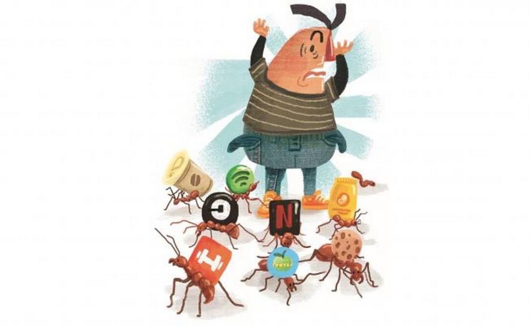 LUSTRACIÓN ROSARIO LUCAS. EL UNIVERSAL