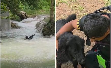 VIDEO: Hombre rescata a perrito atrapado en la corriente de las cascadas de Tamasopo