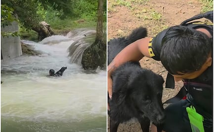 VIDEO: Hombre rescata a perrito atrapado en la corriente de las cascadas de Tamasopo