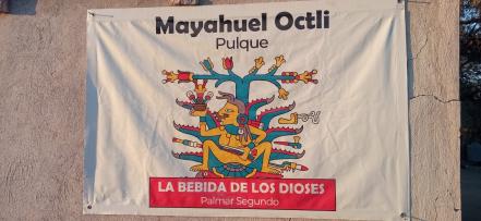 Día Nacional del Pulque. Mexquitic festejará con jornada cultural y gastronómica