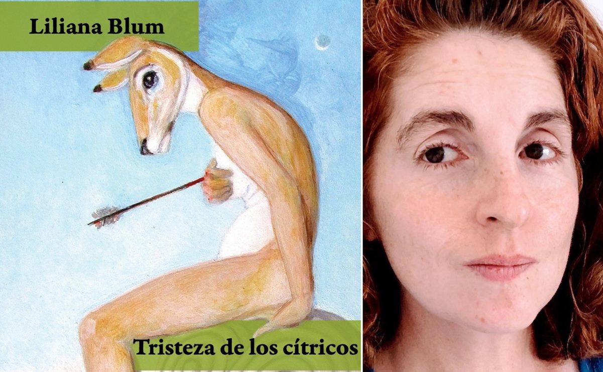 Universo de Letras. “Conejillo de indias”, un cuento de la escritora Liliana Blum