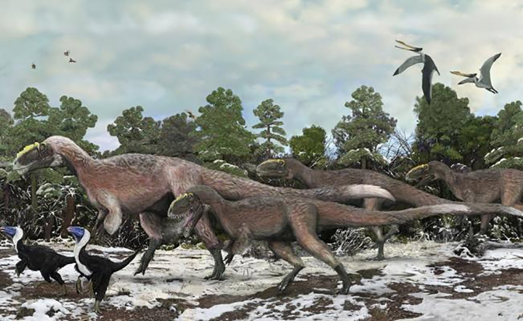 Descubren restos de un nuevo tipo de dinosaurio