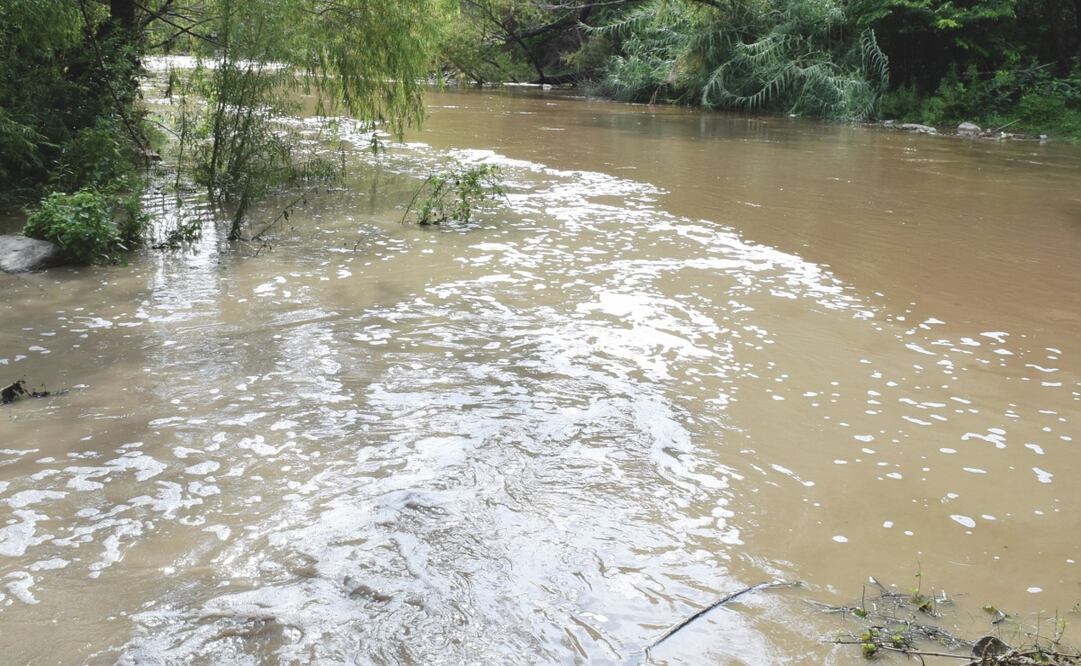 Imagen ilustrativa. Archivo. EL UNIVERSAL