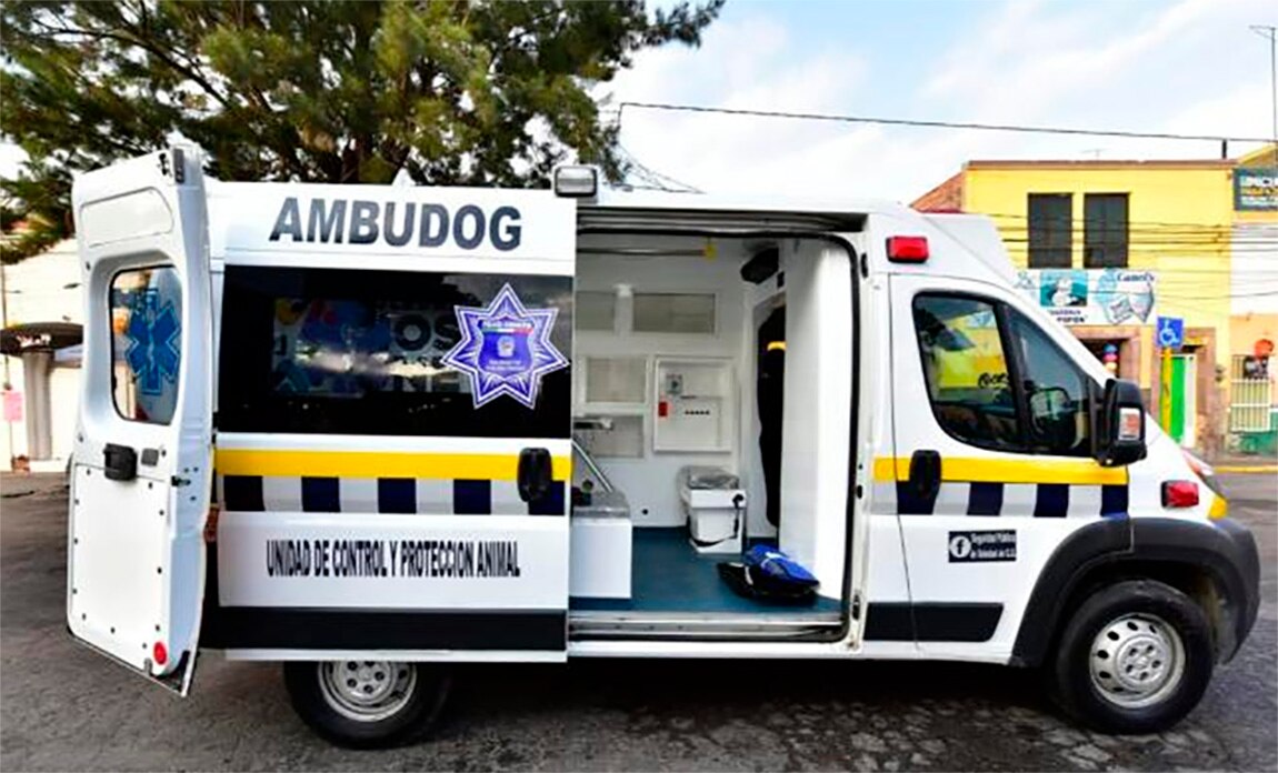 Denuncian negligencia en “AMBUDOG”