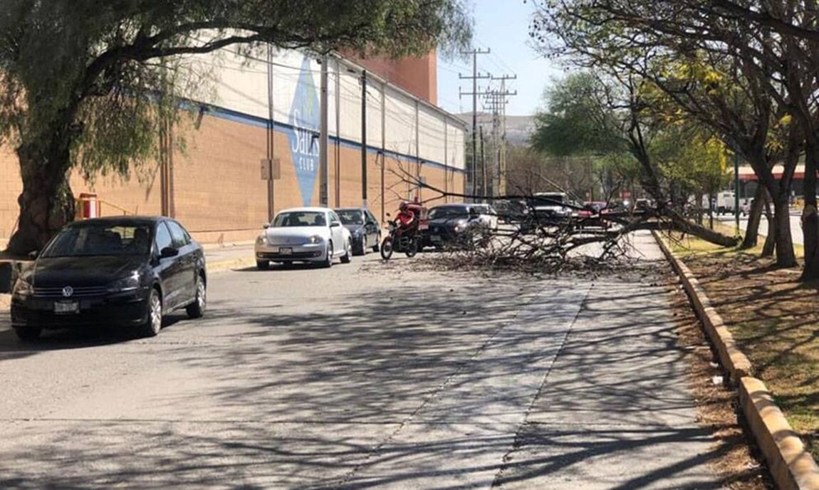 Fuertes vientos provocan afectaciones en zonas de SLP 