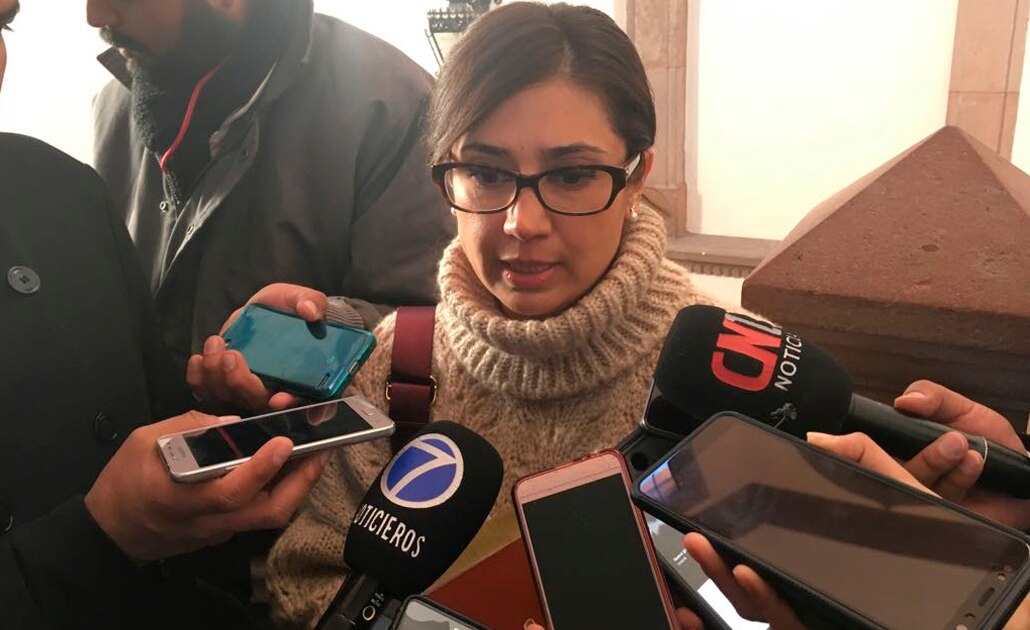 Reducción a Semarnat en presupuesto 2019, un golpe a la política medioambiental: SEGAM