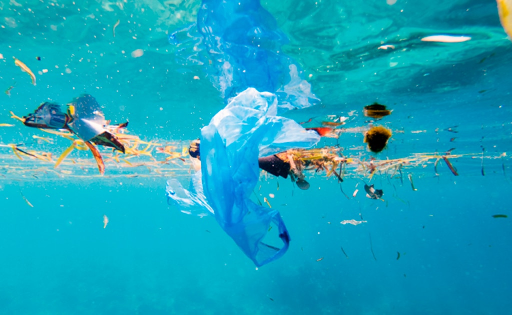 El paraíso turístico en el que hay 7 veces más plástico que peces