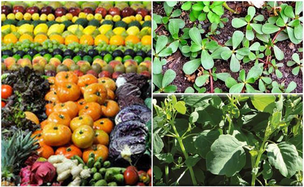 Desarrollan código de barras genético de especies mexicanas