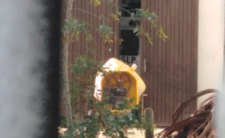 Localizan con vida a tres policías reportados como desaparecidos en Salinas, SLP