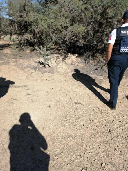 Investigan como feminicidio hallazgo de cadáver en maleta