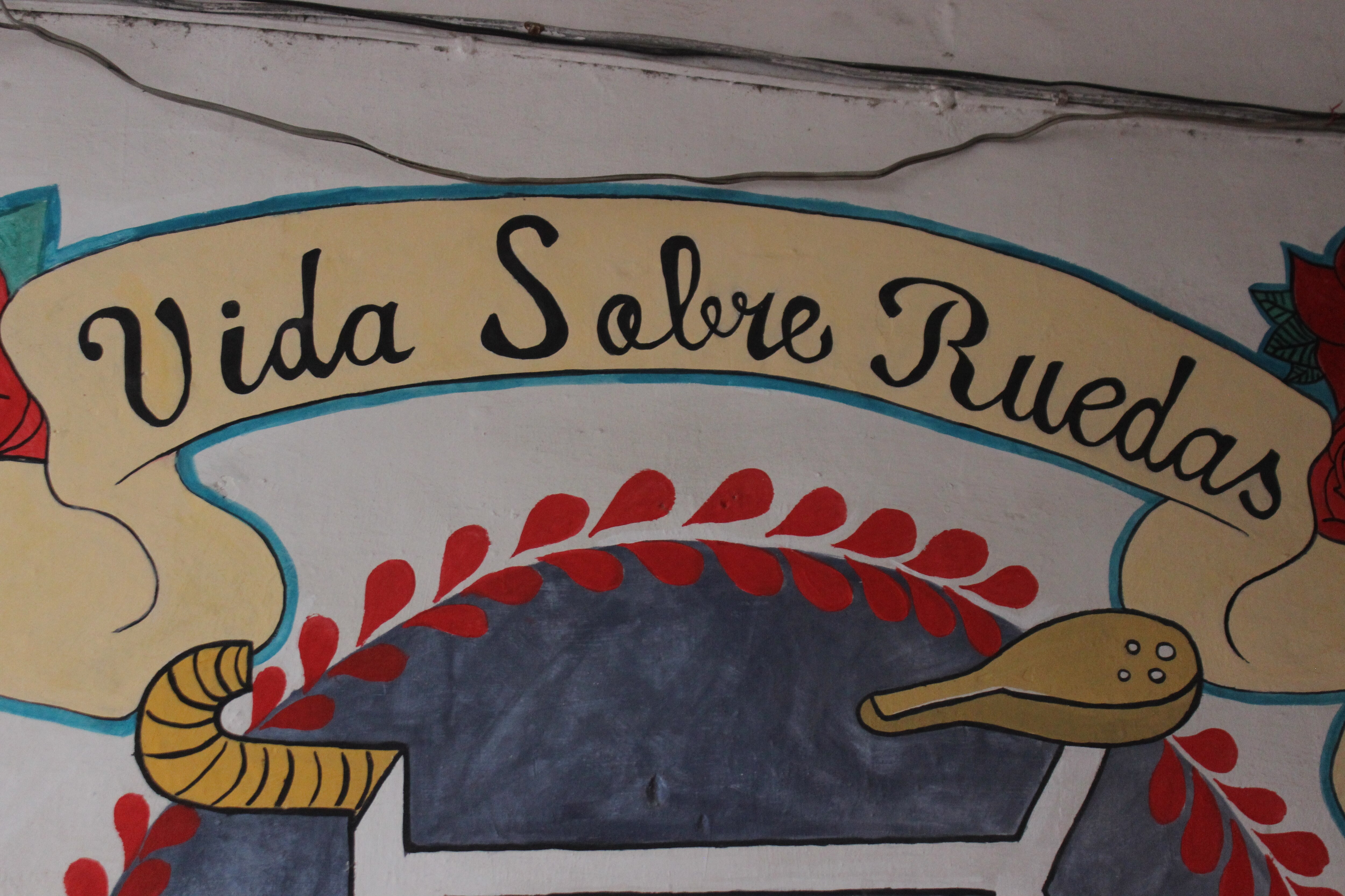 Vida sobre ruedas, 9 años de lucha sobre el asfalto