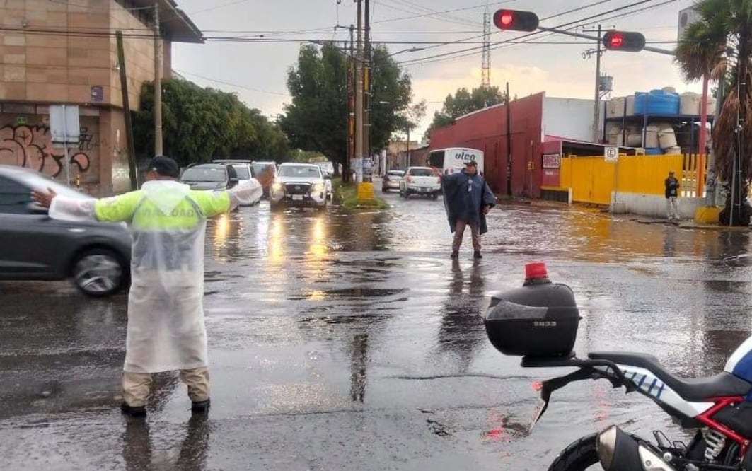 Foto: Especial