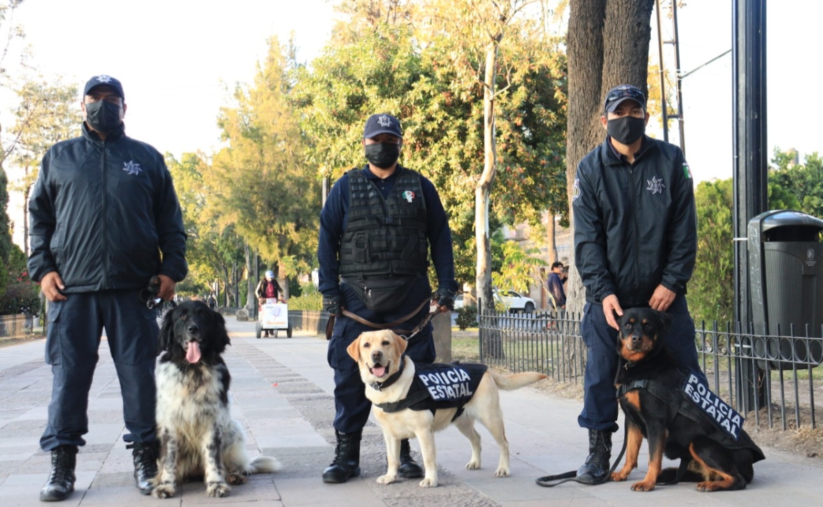 Bonie, Candie y Camila, un ejemplo de amor y profesionalismo de la unidad canina de SLP