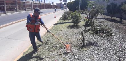Servicios Municipales atiende 24 colonias de SLP