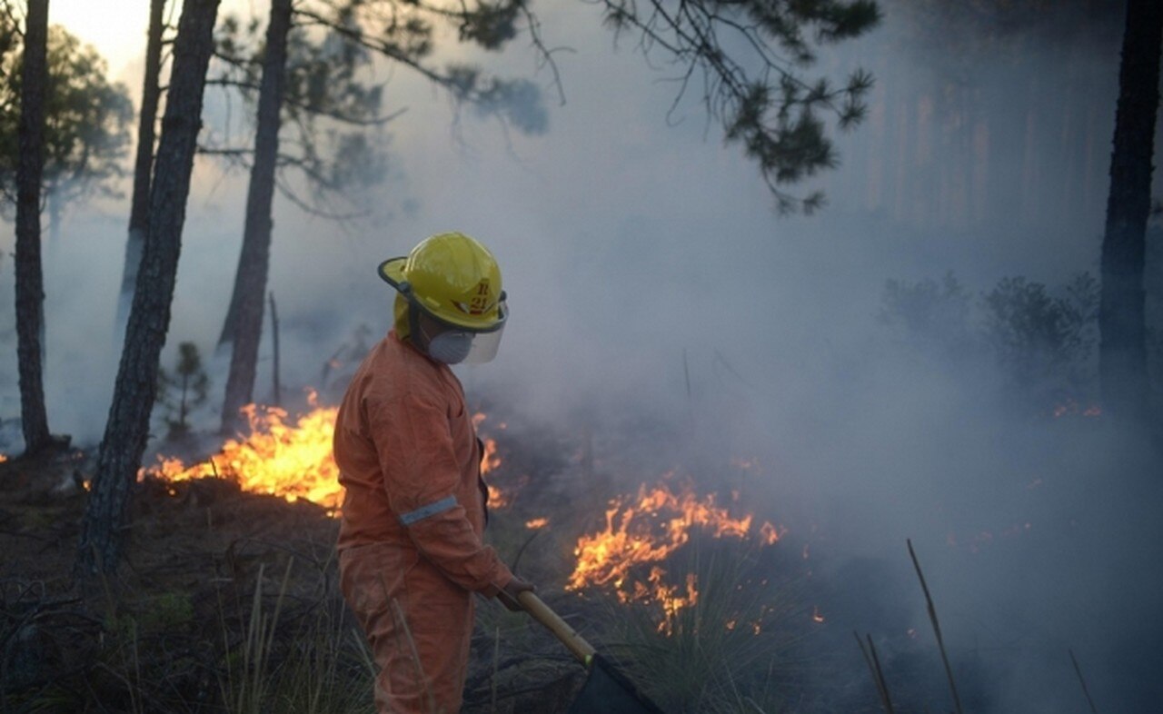  Muere brigadista tras combatir incendio forestal en Veracruz