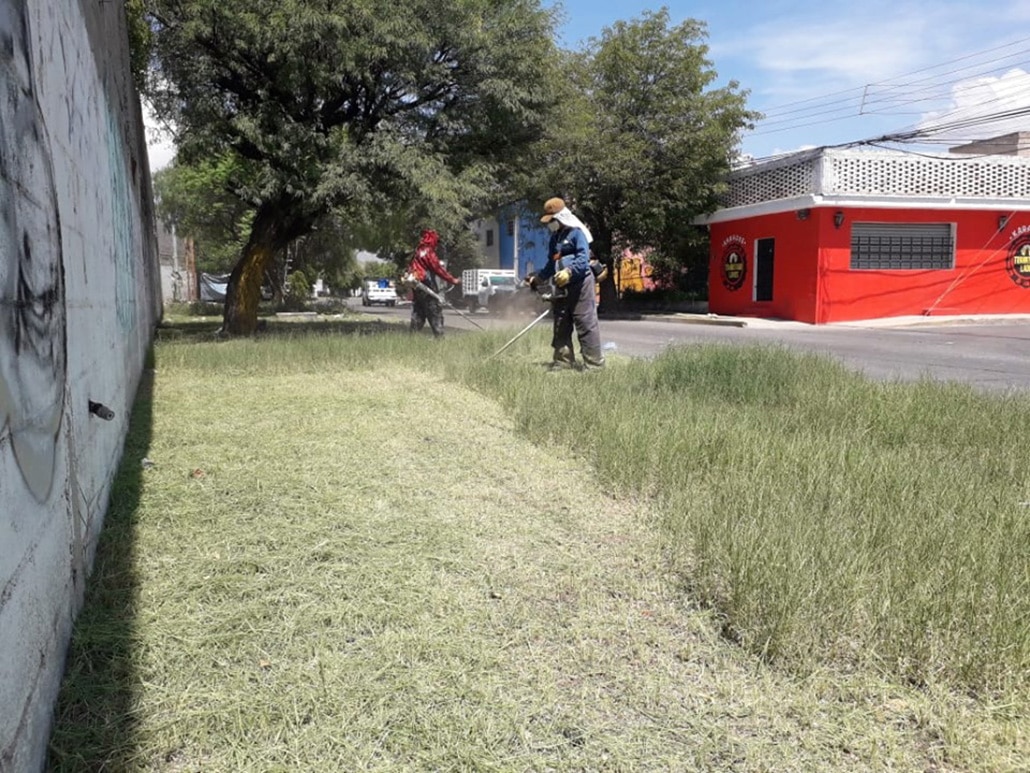 Gobierno capitalino limpia 300 mil metros de áreas verdes