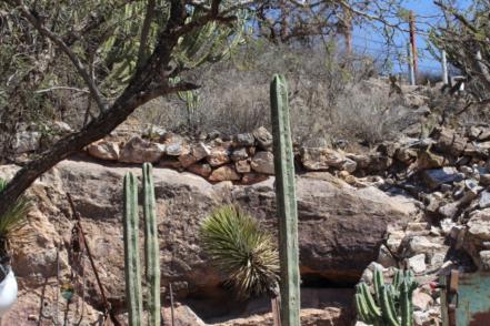 Cerro de San Pedro, un atractivo turístico imperdible si estás de visita por San Luis