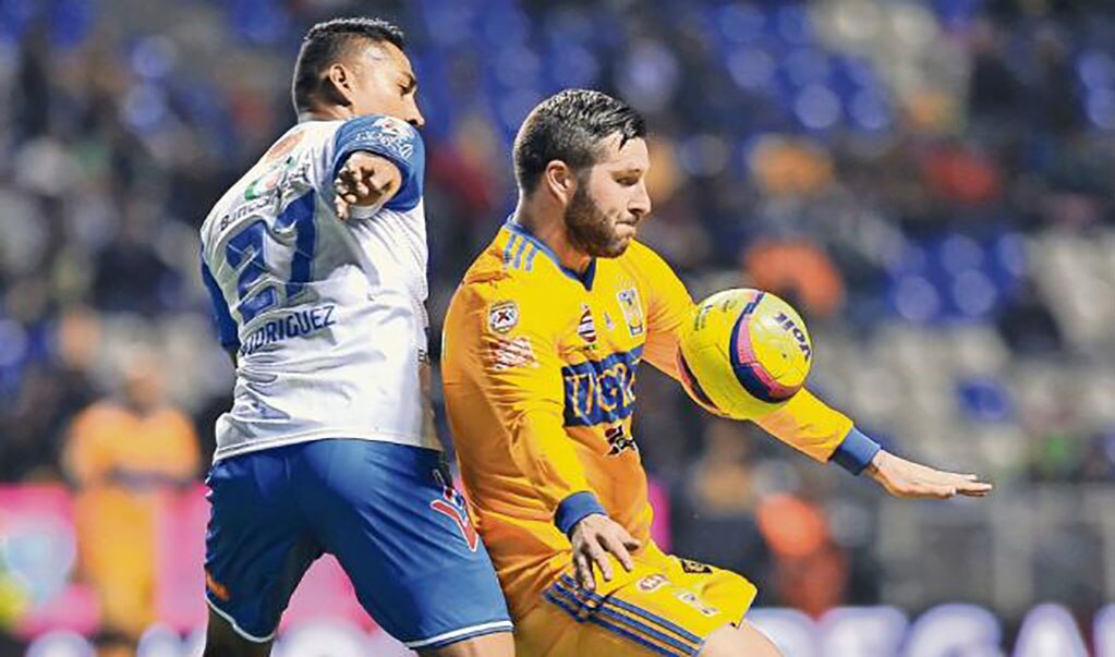 Los felinos del norte iniciaron el torneo con derrota ante La Franja (AFP)
