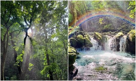 Tambaque, cómo llegar al balneario natural con agua cristalina de la Huasteca potosina