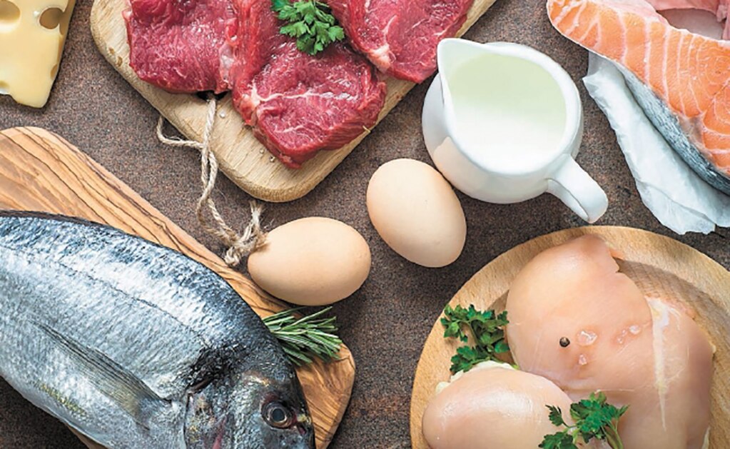 UNAM: ¿Por qué la dieta vegana perjudica el desarrollo de los niños?