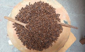 Festival de Café llega, con arte, música y lo mejor del grano, al Museo Francisco Cossío en SLP