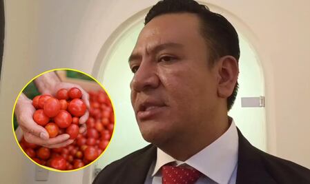 Brindará Gobierno de SLP apoyo a tomateros afectados por aranceles de EU   