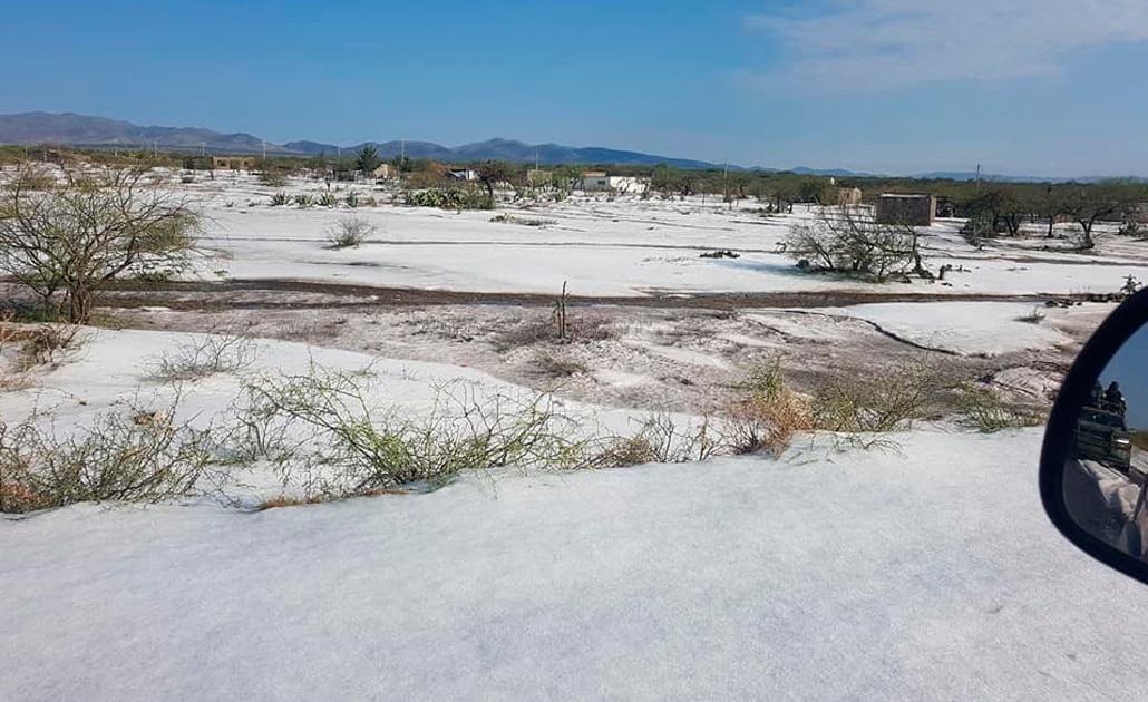 No habrá apoyos para invernaderos afectados por granizada en Venado: Sagarpa
