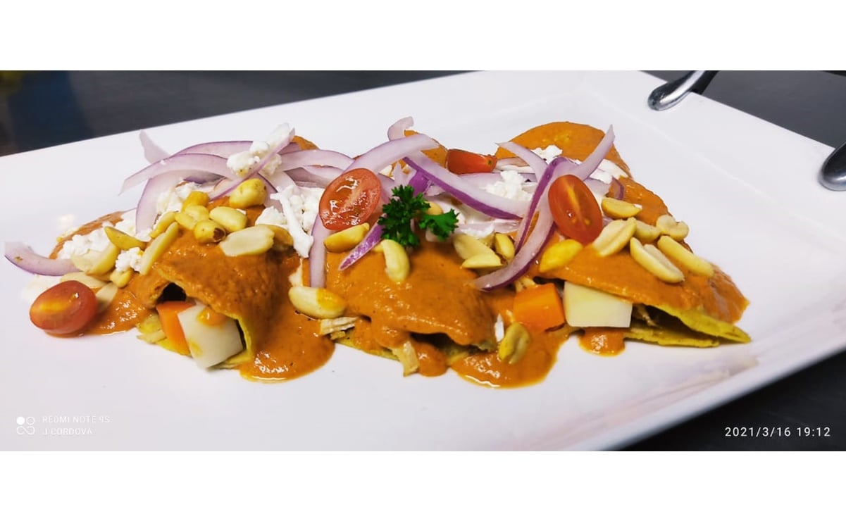 Receta. Prepara enchiladas en salsa de cacahuate como las que hay en San Luis Potosí