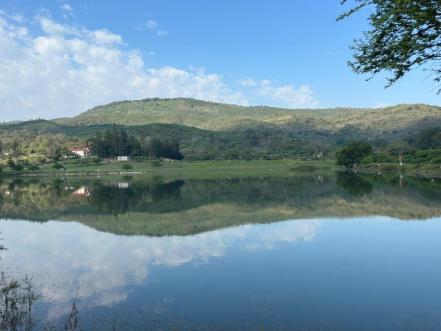 Canoas y Puente de Dios, la ruta sobre las vías del tren y pozas azules en la Huasteca potosina