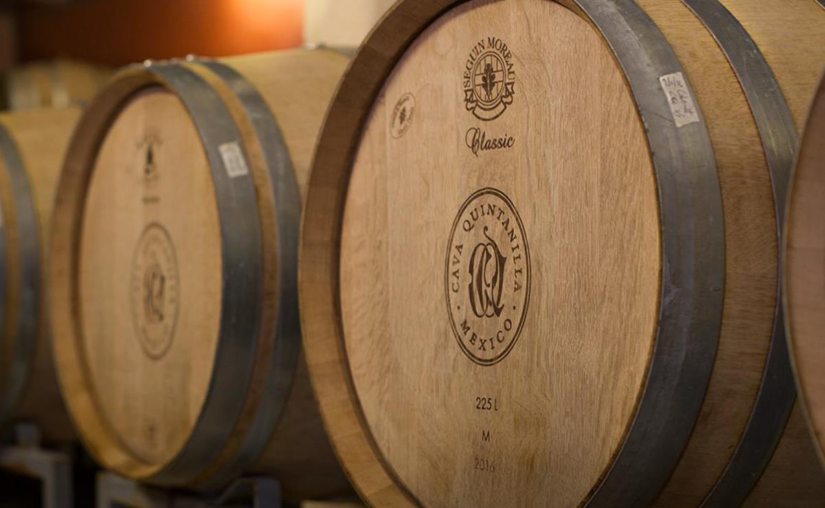 Cava Quintanilla, el viñedo de SLP que hace algunos de los mejores vinos del mundo